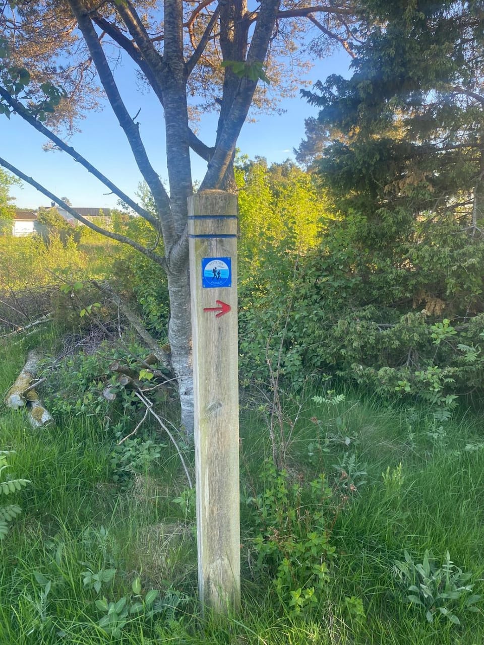 Neighbourhood