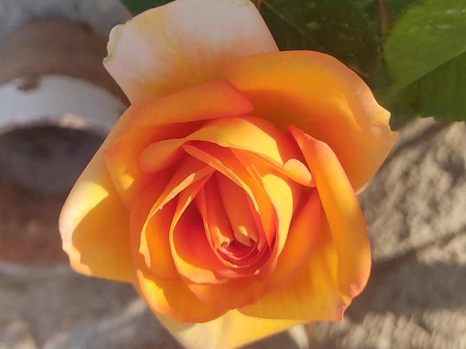 GioMar Falconara Bed and Breakfast in Sicily