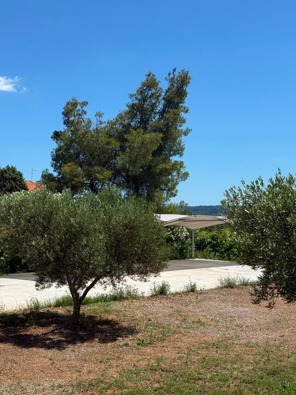 Neró Suites Apartment in Halkidiki