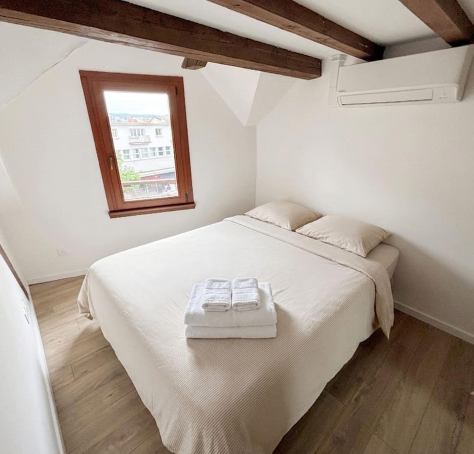 The Gentle Haven Cosy Apartment in Strasbourg Apartment in Strasbourg