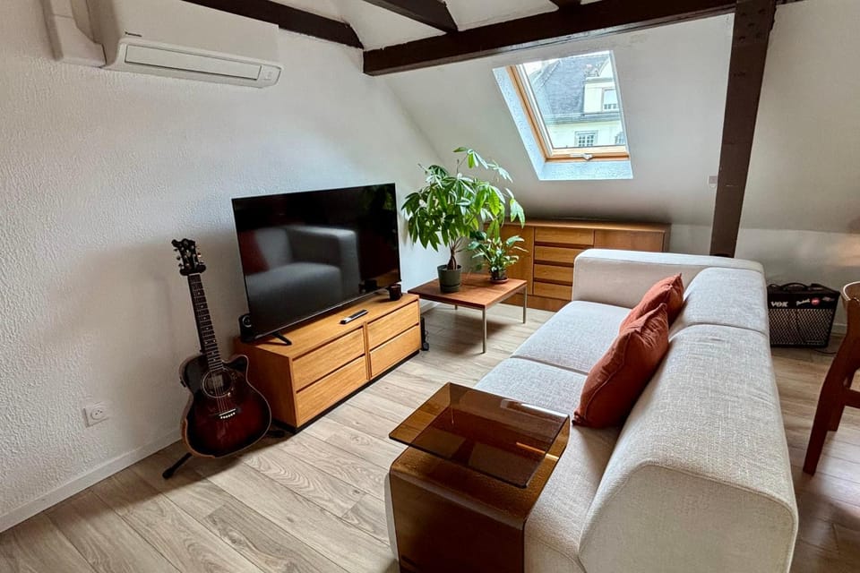 The Gentle Haven Cosy Apartment in Strasbourg Apartment in Strasbourg