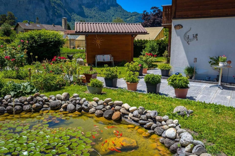 Garden, Mountain view