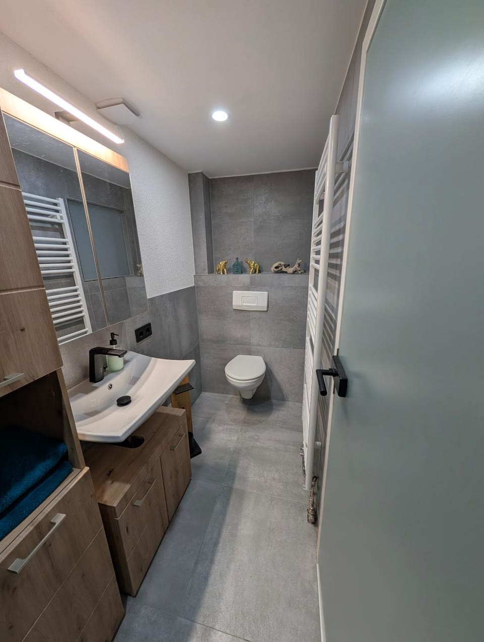 Bathroom, Living room