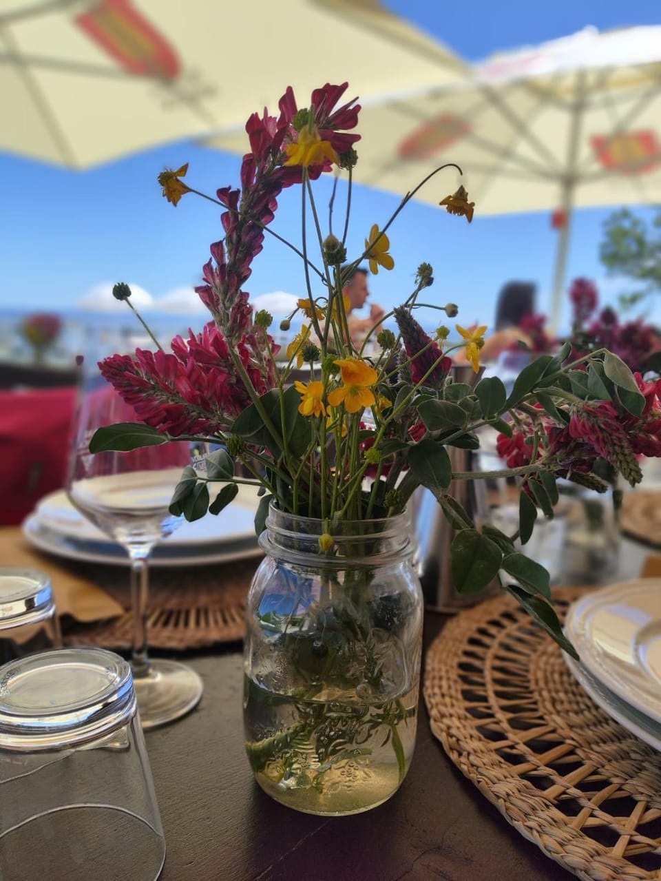 Villa Elena House in Marche