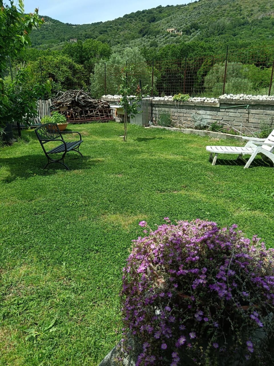 Garden, Balcony/Terrace, Garden view, Swimming pool