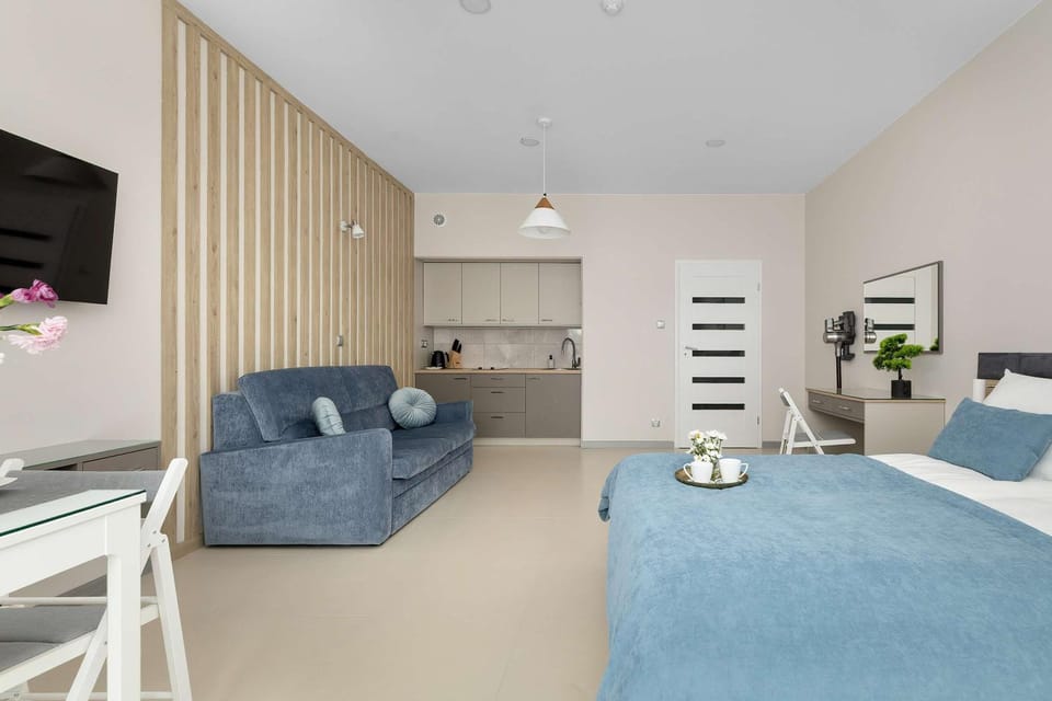 Bed, TV and multimedia, Kitchen or kitchenette, Living room, Photo of the whole room, Seating area, Bedroom