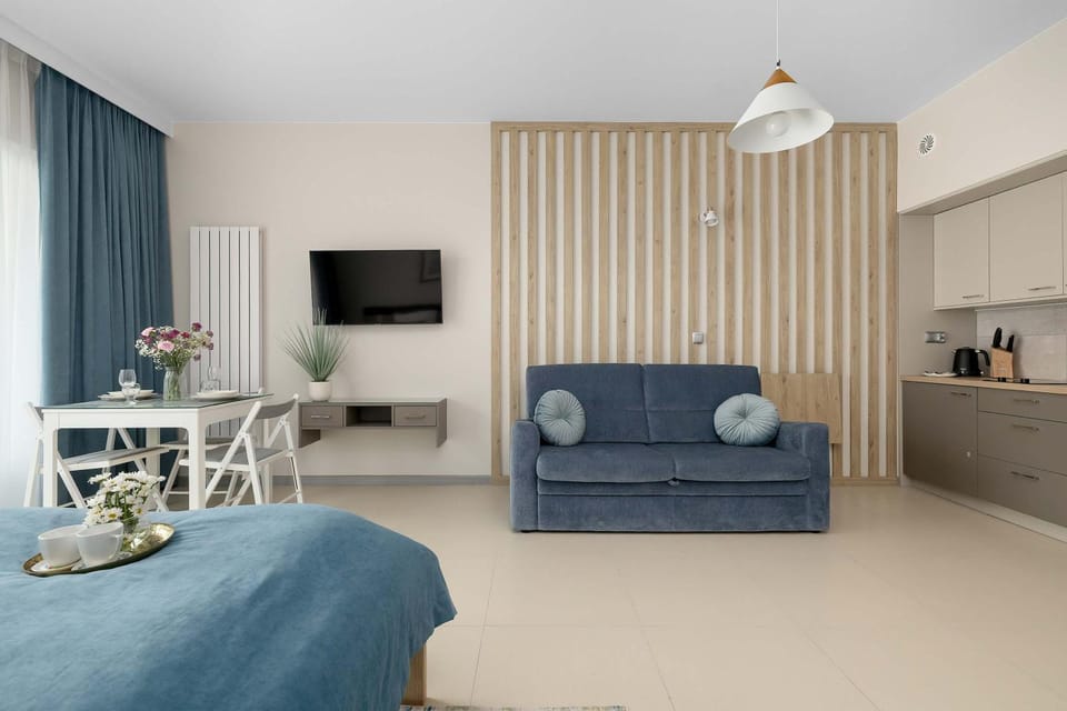 Bed, TV and multimedia, Kitchen or kitchenette, Living room, Photo of the whole room, Seating area, Bedroom