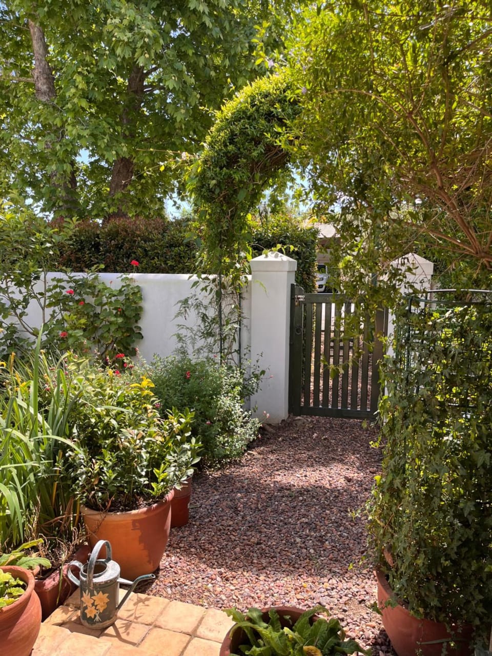 Garden view