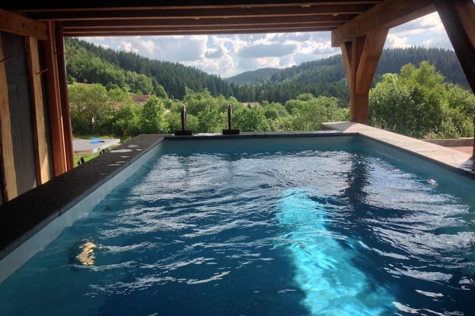 Chalet Les Papis Heated Pool Sauna Lake View Gérardmer Chalet in Gérardmer