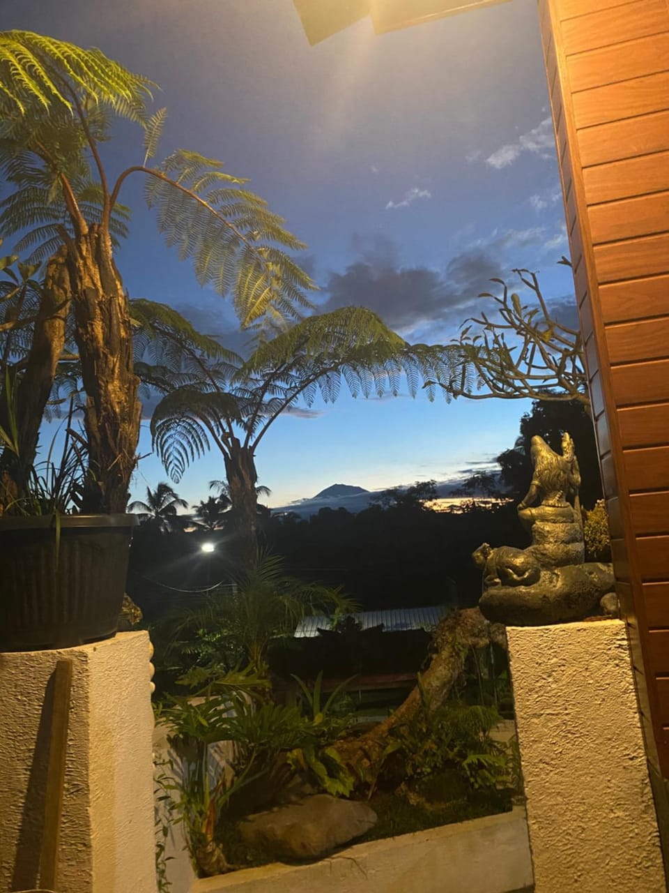Garden, Garden view, Mountain view