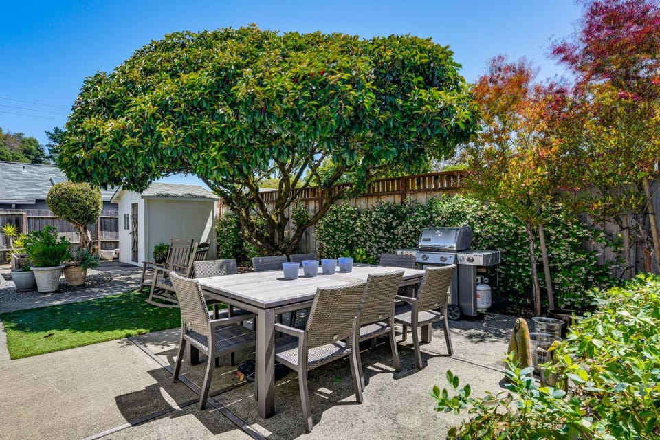 Walkable Mill Valley Gem: Private Patio + Yard House in Mill Valley