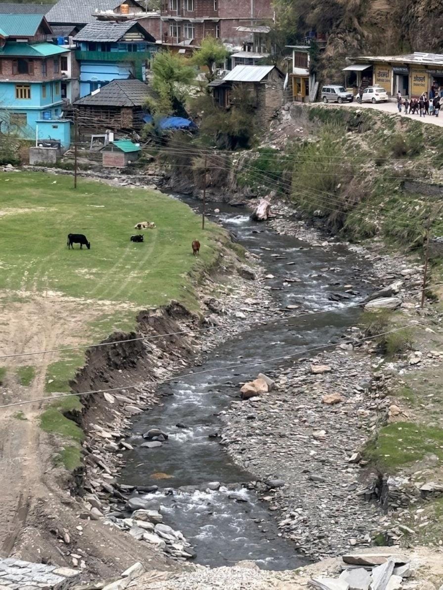 Green Valley Homestay and Cafe Vacation rental in Himachal Pradesh