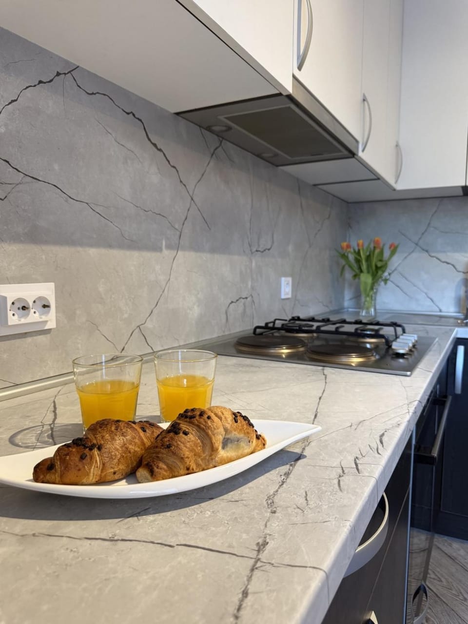 Kitchen or kitchenette, kitchen