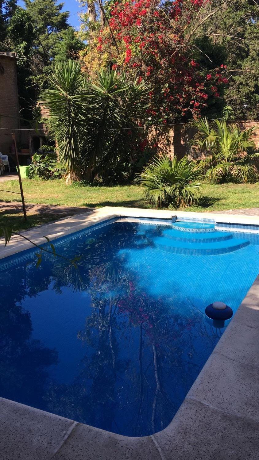Day, Garden, Garden view, Pool view, Swimming pool, Swimming pool