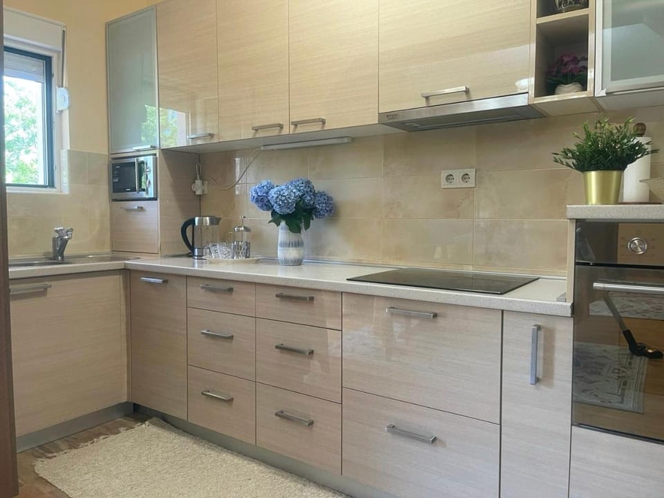 Kitchen or kitchenette, dishwasher