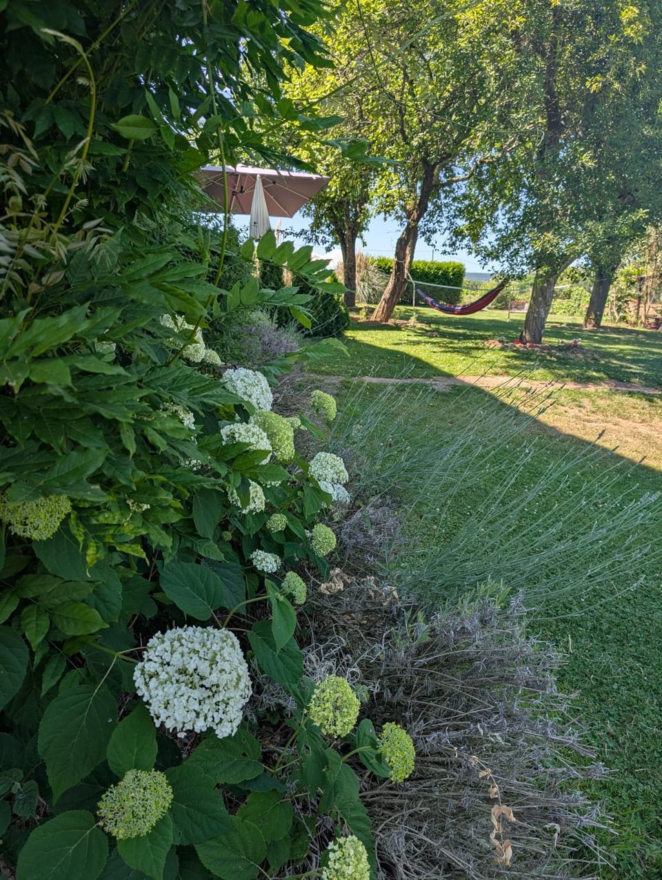 Maison Mazille Bed and Breakfast in Bourgogne-Franche-Comté
