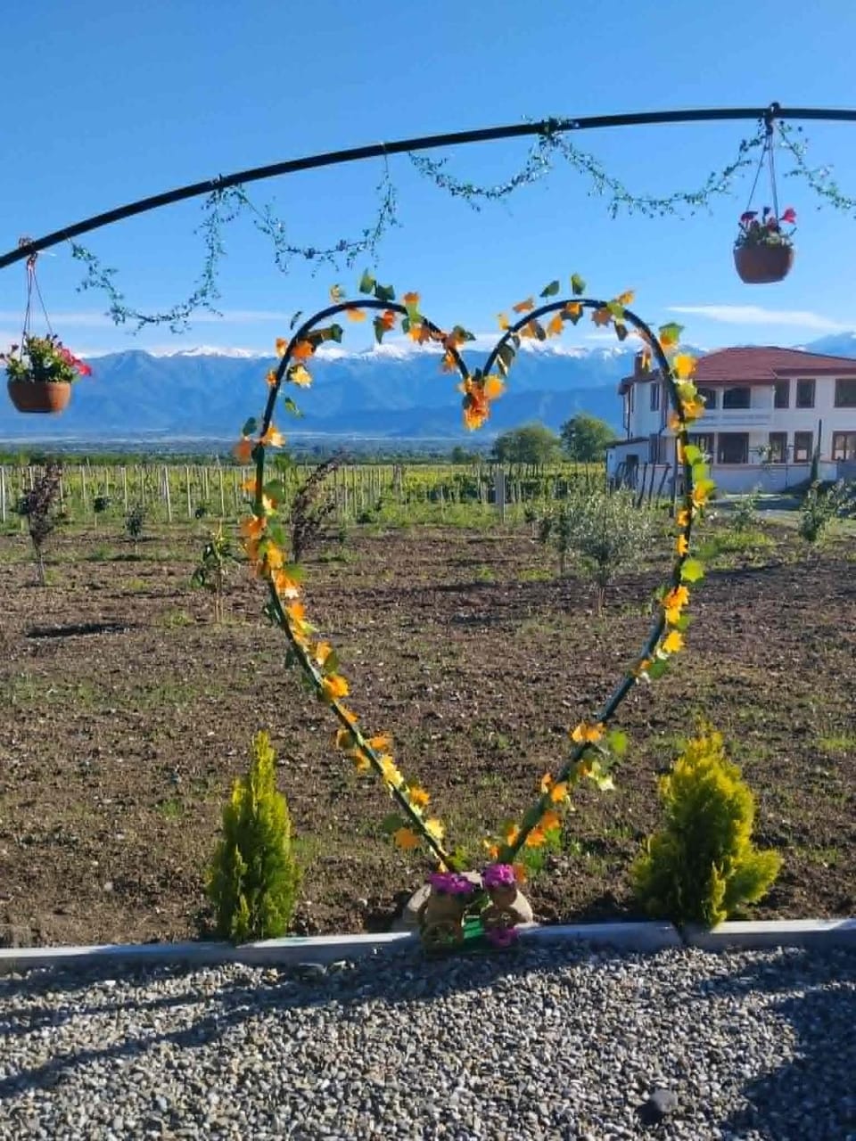Caucasus View Cottage კავკასიონის ხედი Villa in Georgia