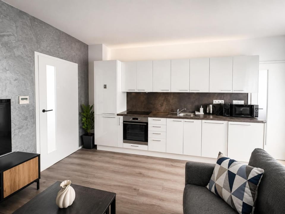 APARTIA Old Town Apartment Jánská Apartment in Brno