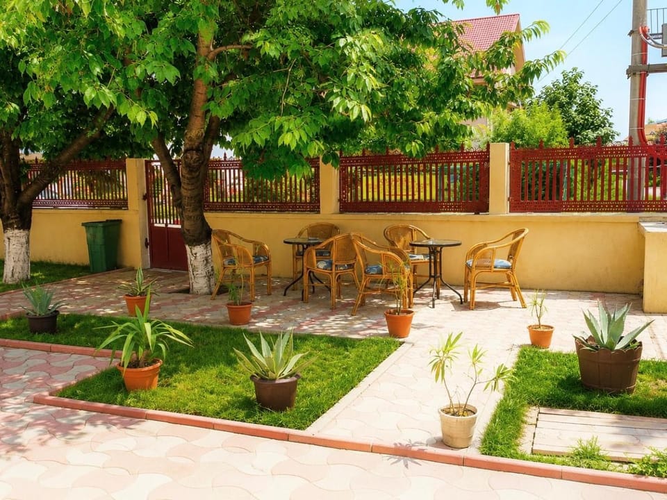 Vila Nova Bed and Breakfast in Constanța County