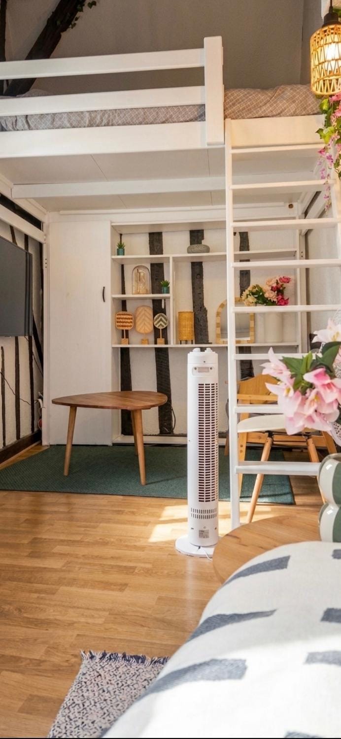 Duplex Charme & Fleurs, vue Cathédrale Apartment in Chartres