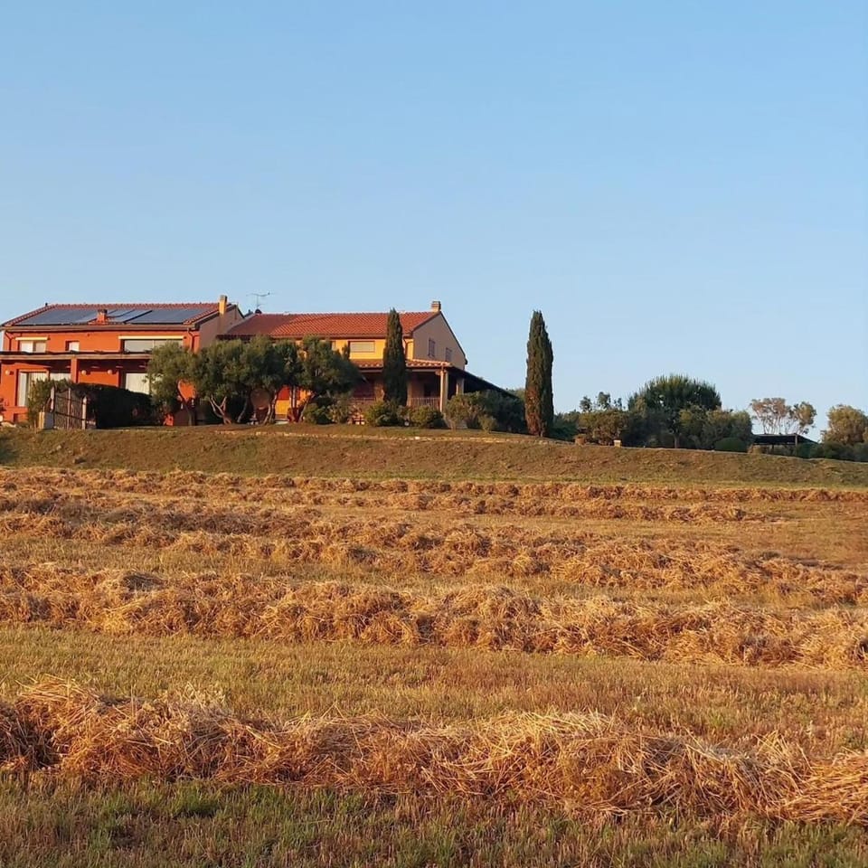 Appartamento per 9 persone Agriturismo Villa Oliveta House in San Vincenzo