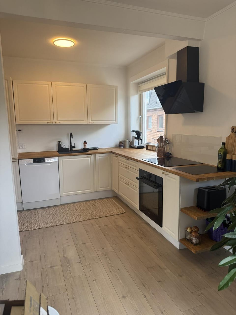 Kitchen or kitchenette, dishwasher, stove