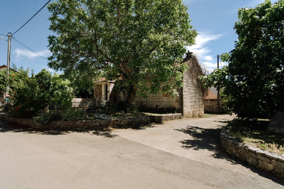 Garden, Garden view