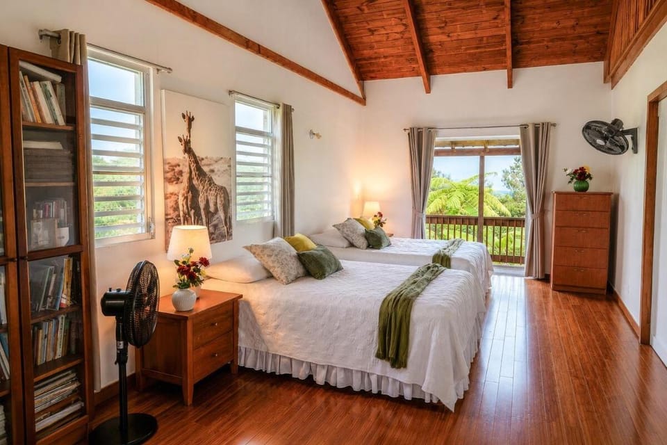 Bed, Library, Bathroom, View (from property/room), Bedroom, City view, Mountain view