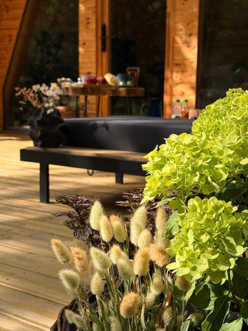 Garden view