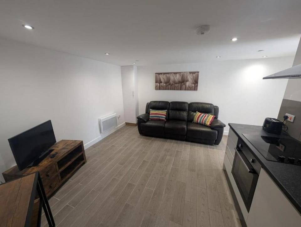 Swansea Flat Near City Centre with Parking Apartment in Swansea