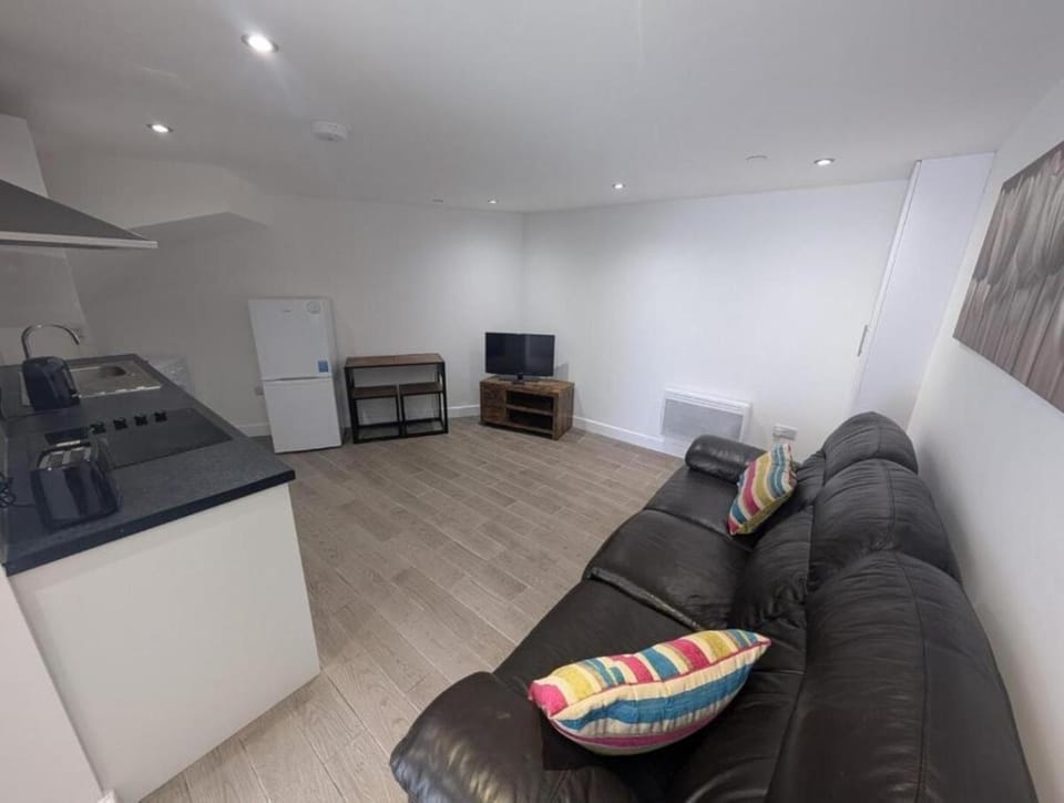 Swansea Flat Near City Centre with Parking Apartment in Swansea