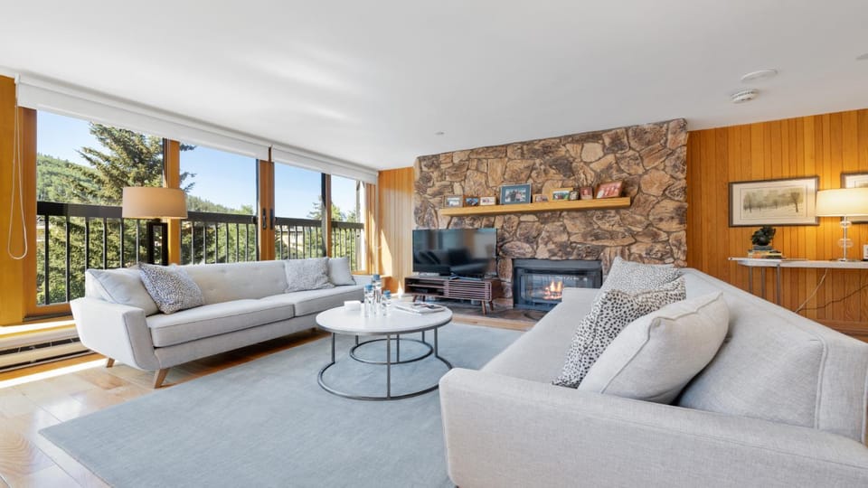 Day, Natural landscape, TV and multimedia, View (from property/room), Living room, Seating area, fireplace, furniture, heating