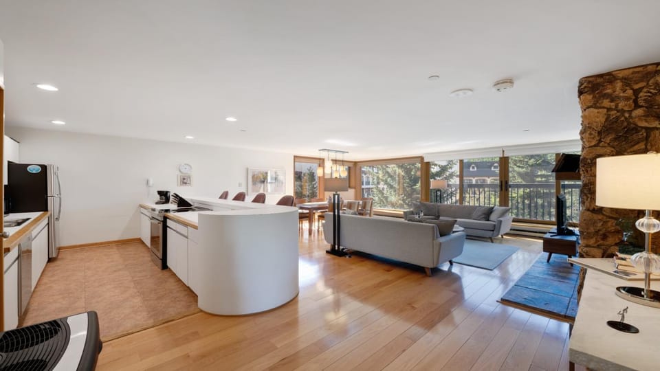 Day, TV and multimedia, View (from property/room), Kitchen or kitchenette, Living room, Seating area, Dining area, fireplace, furniture, kitchen
