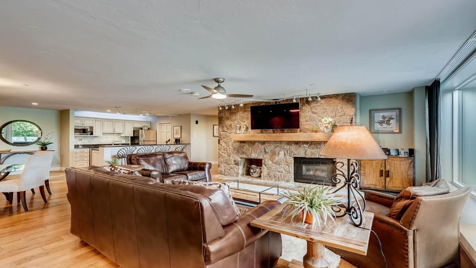 Day, TV and multimedia, Kitchen or kitchenette, Living room, Dining area, fireplace, furniture