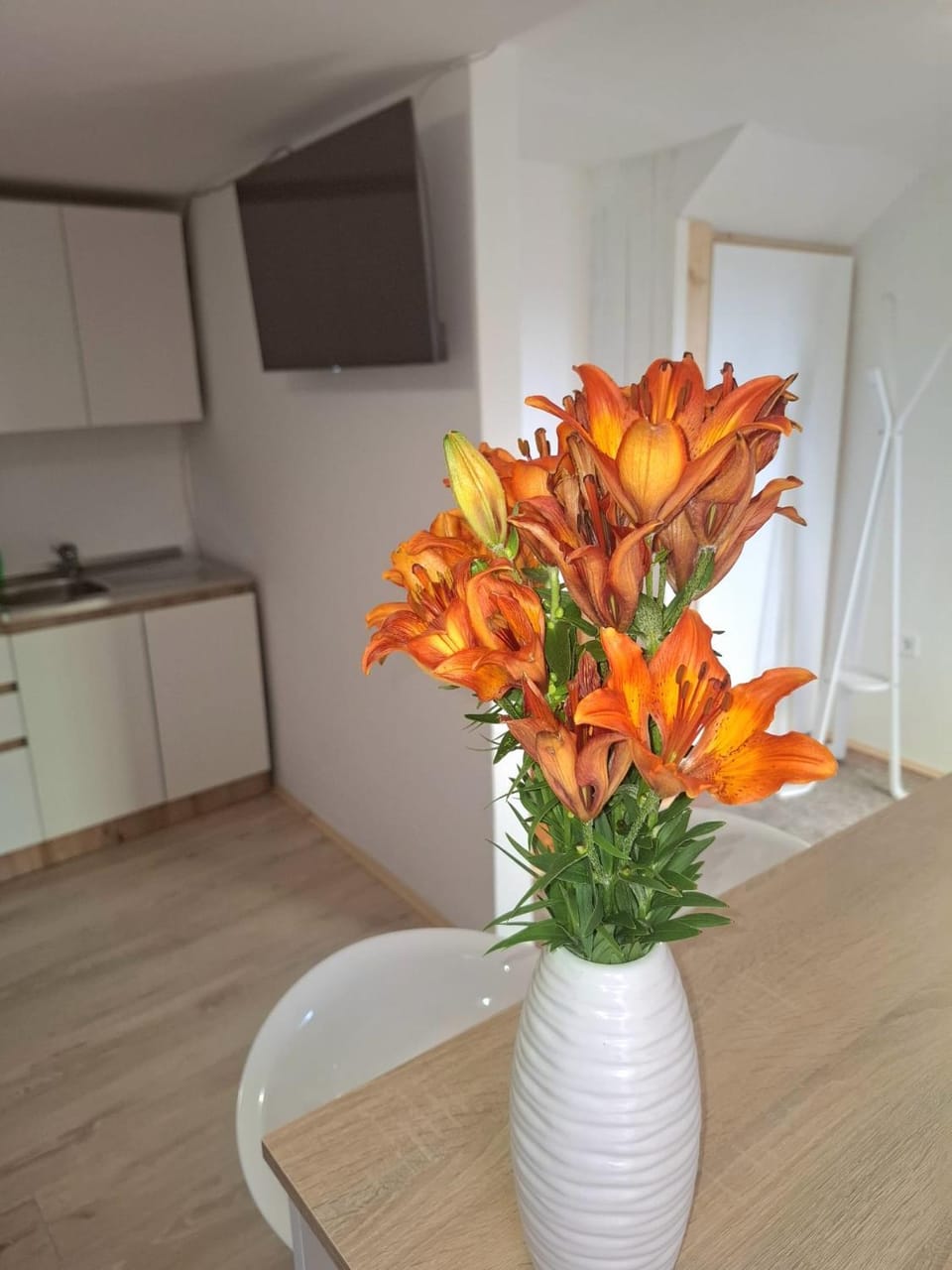 C&M Studio Apartment Apartment in Rijeka