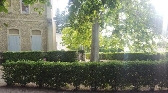 Grande maison avec jardin à Villeneuve-lès-Avignon Apartment in Villeneuve-lès-Avignon