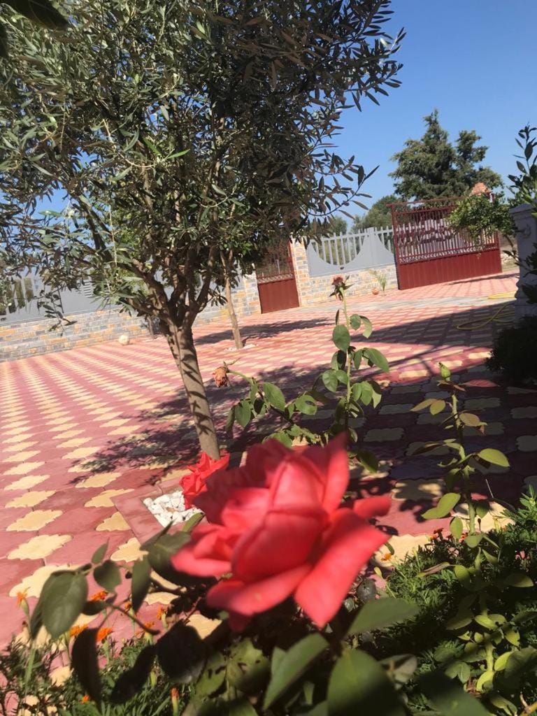 beautiful villa near to the beach Bed and Breakfast in Montenegro