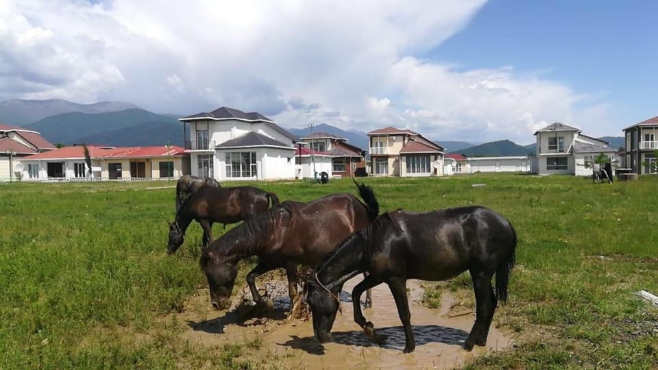 Paradise Investment Resort Resort in Georgia
