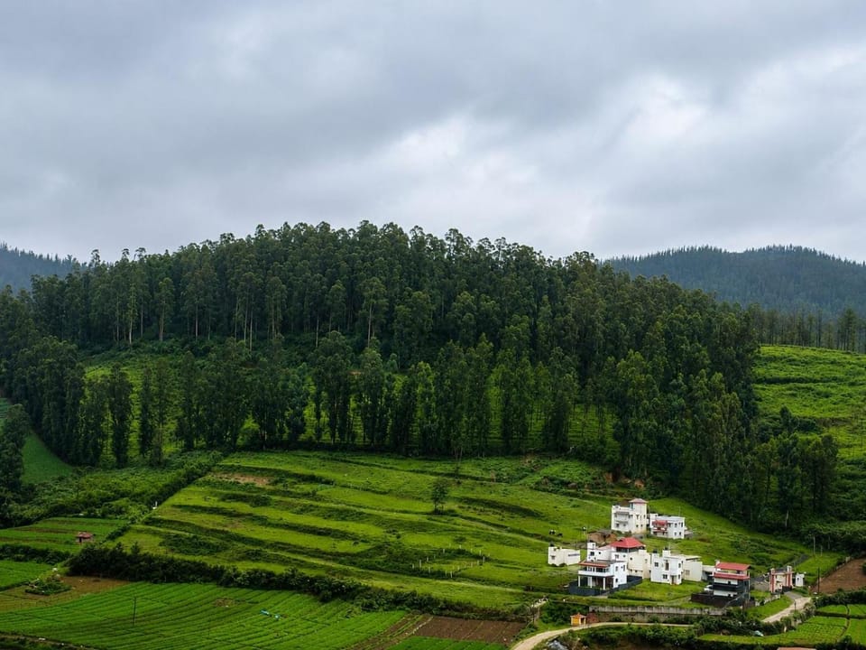 Raghav Chandra Homes House in Tamil Nadu