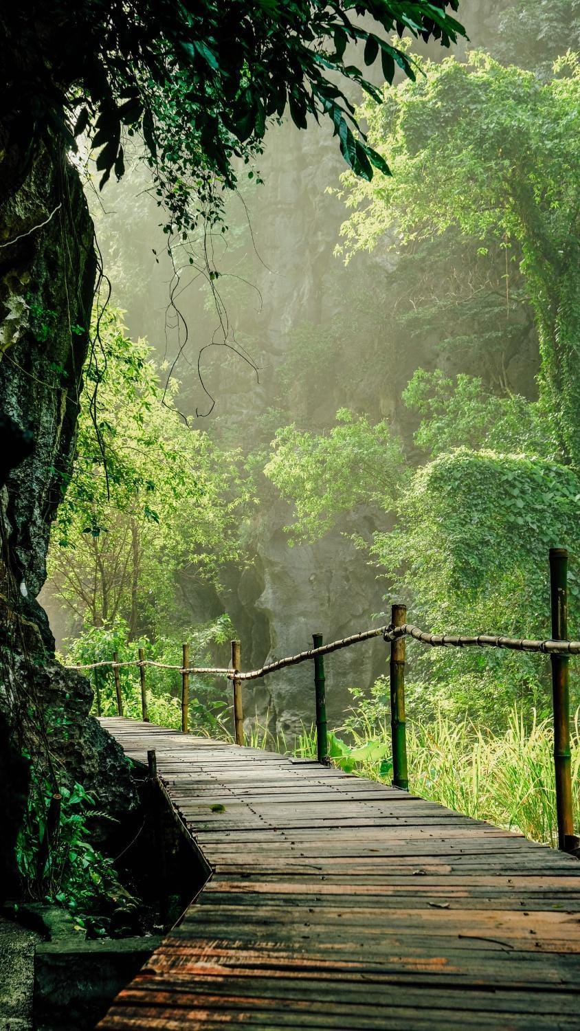 Natural landscape