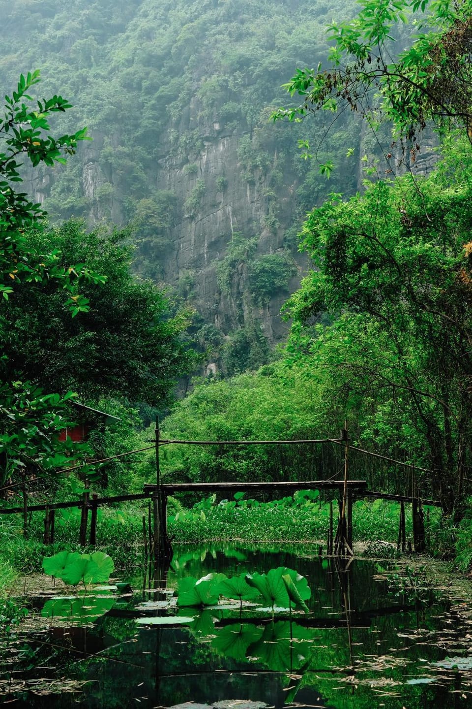 Natural landscape, Mountain view, River view