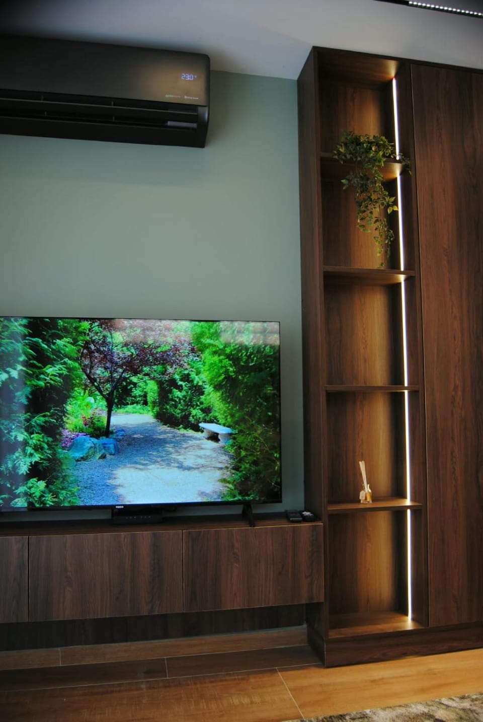 TV and multimedia
