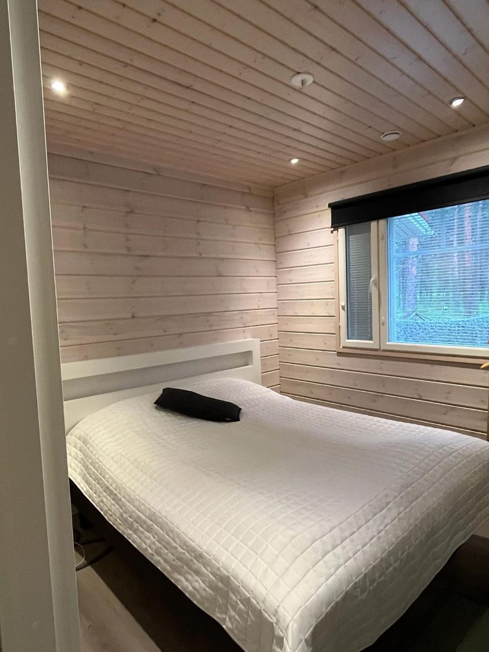 Kurjenpesä Villa in Finland