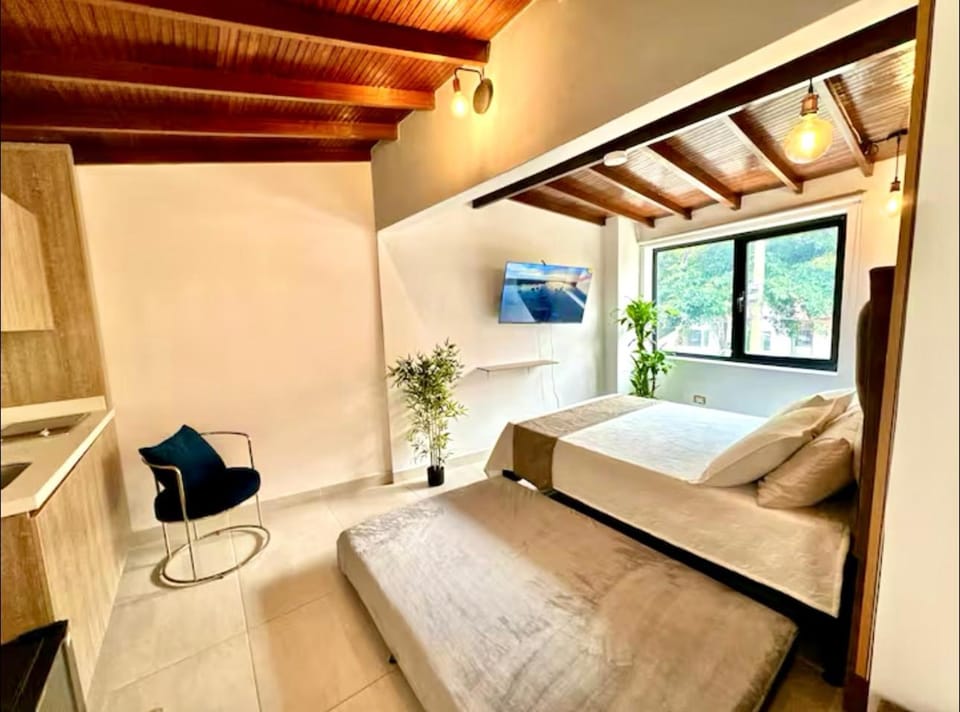 Photo of the whole room