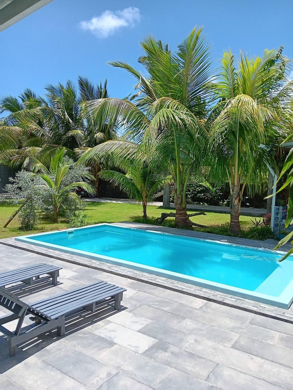 Garden, Swimming pool