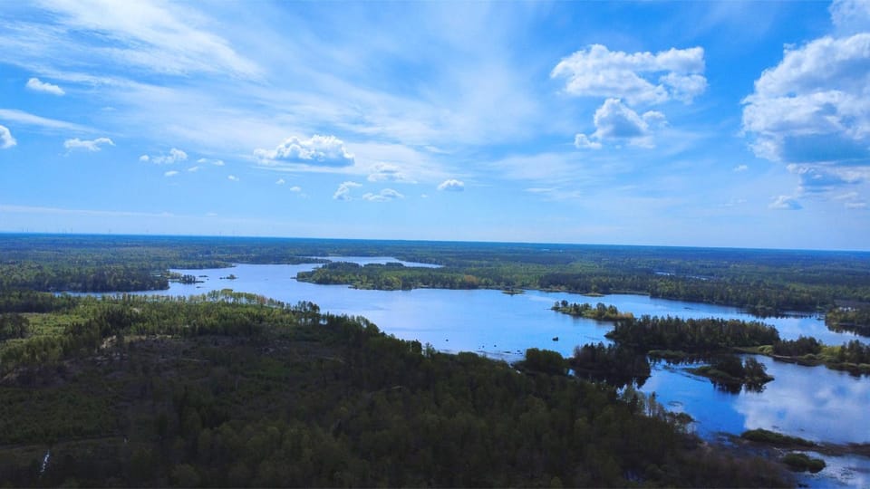 Natural landscape