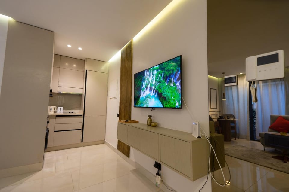 TV and multimedia, air conditioner
