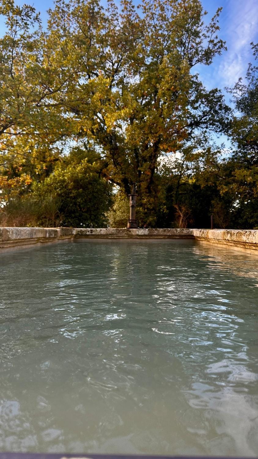 Typical Stone mazet with private pool House in Apt