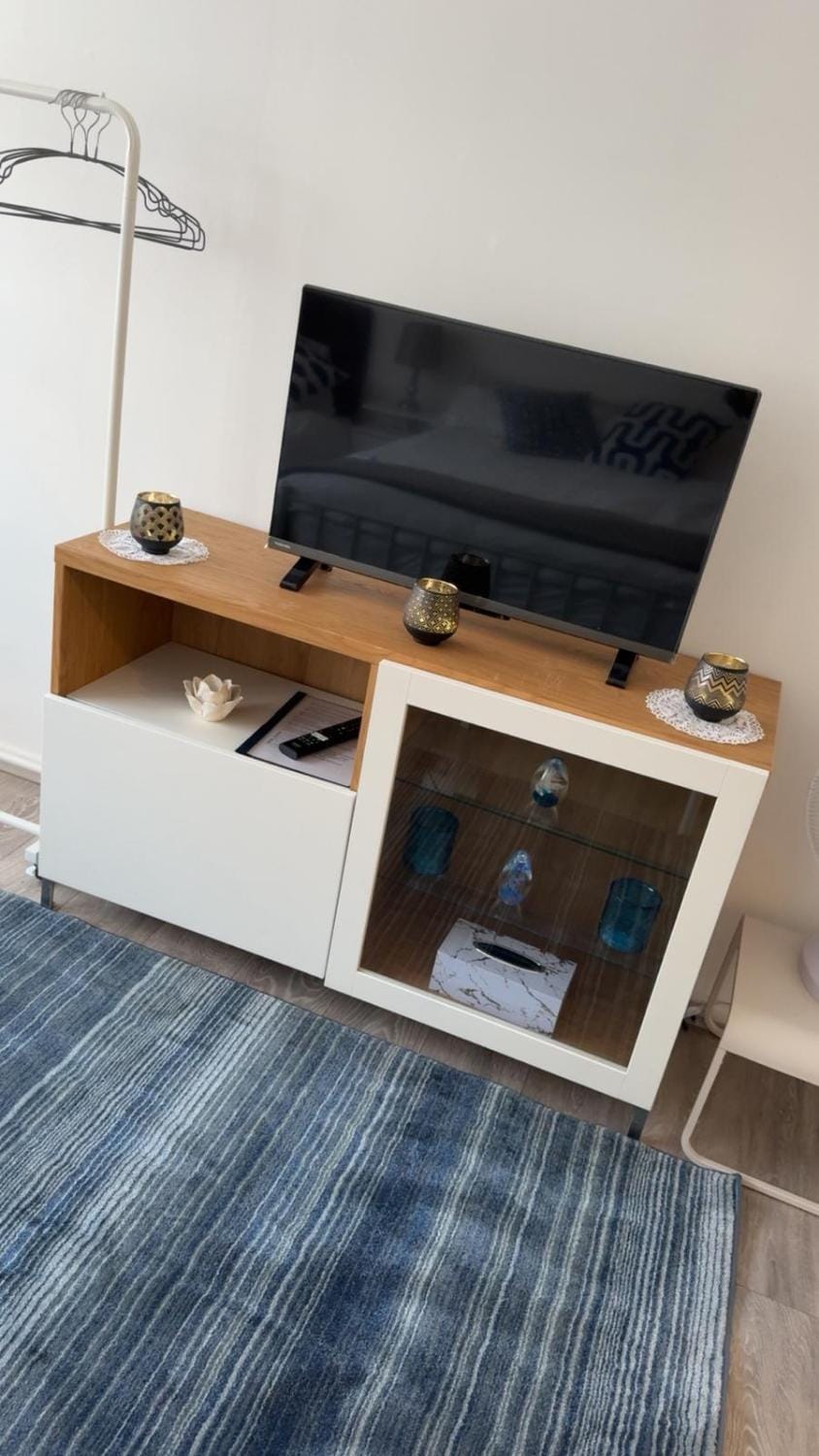 TV and multimedia