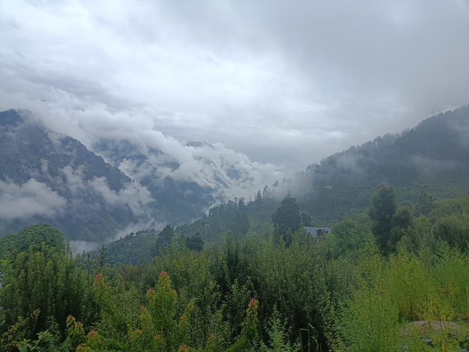 Cedar Forest BnB Villa Villa in Himachal Pradesh
